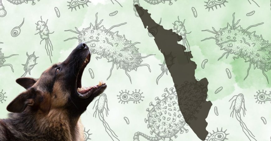 Rabies Prevention Program to Kick Off in Kerala Schools on June 30