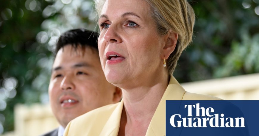 Coalition Prefers Quotas for Nationals on Frontbench Over Female Liberal MPs, Tanya Plibersek Claims