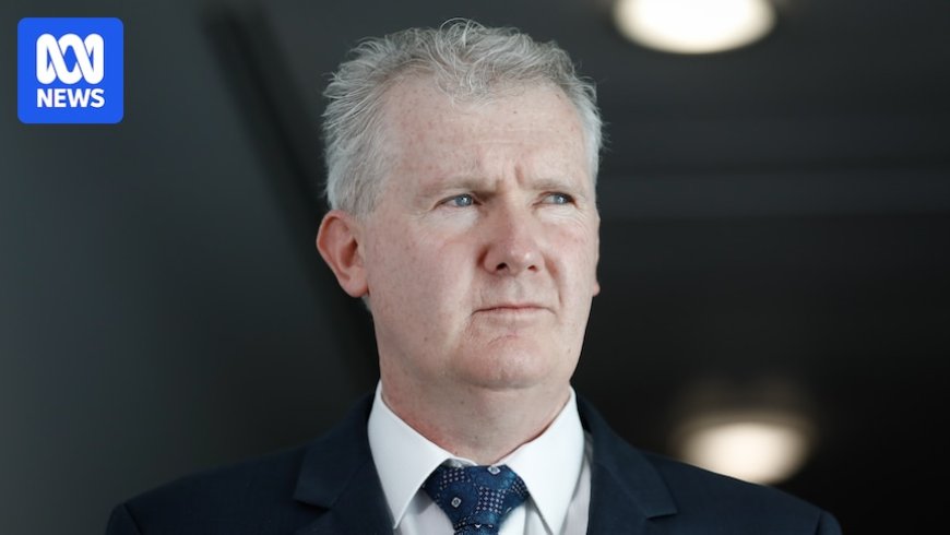 Preventative detention laws for migrants deemed ineffective by Tony Burke