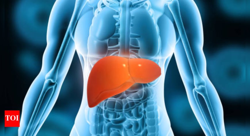 Understanding the Rise in Liver Disease Deaths: Expert Insights on Lifestyle Impact