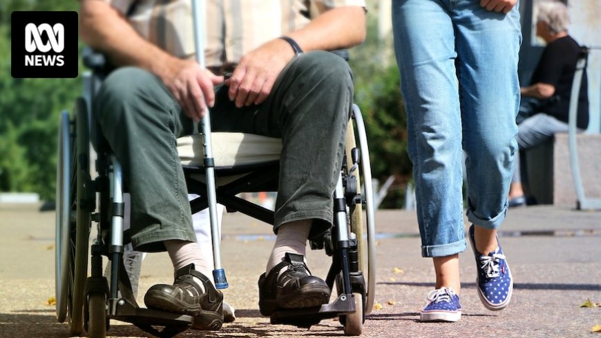 Grattan Institute proposes changes to strengthen NDIS amid delays in foundational supports rollout