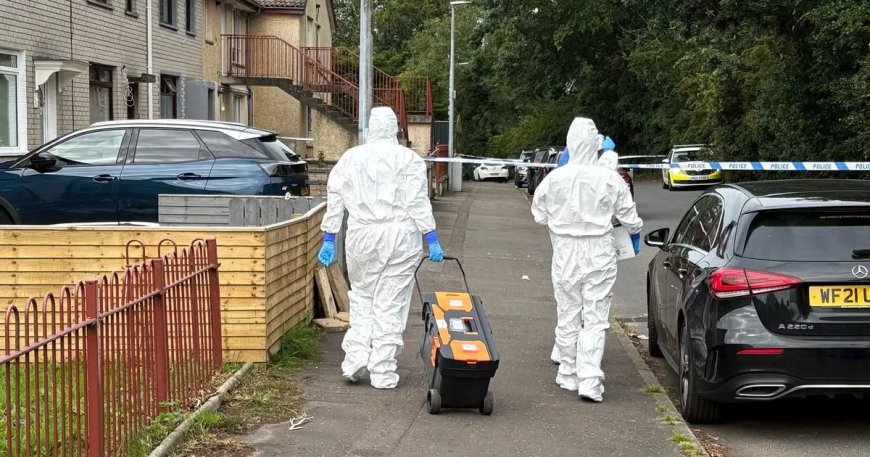 Woman's Sudden Death Under Investigation in Co Down Town
