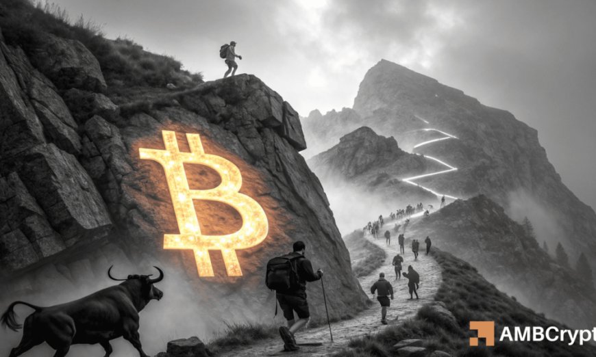 Bitcoin Price Analysis: Whales Accumulate as Retail Demand Declines