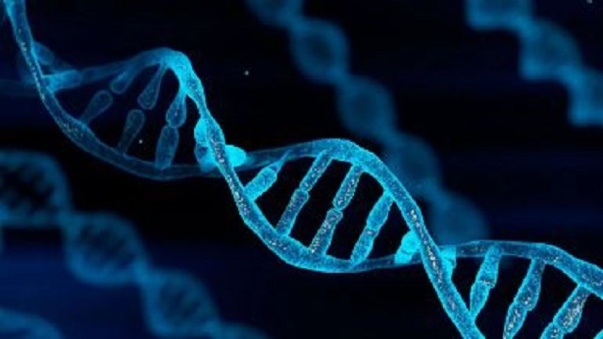 Scientists Working to Build Human DNA in Lab for Medical Discoveries