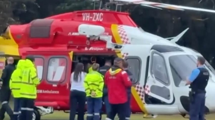 Teenage Boy Injured in Shark Attack at Cabarita Beach