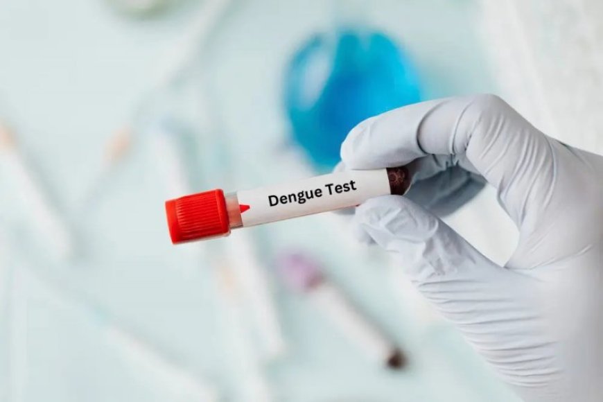 Pakistan's Sindh Province Reports First Dengue Death of 2025
