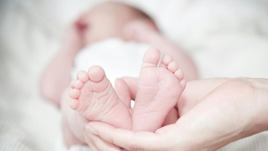 Kerala Couple Arrested for Deaths of Two Newborns Kept for Rituals