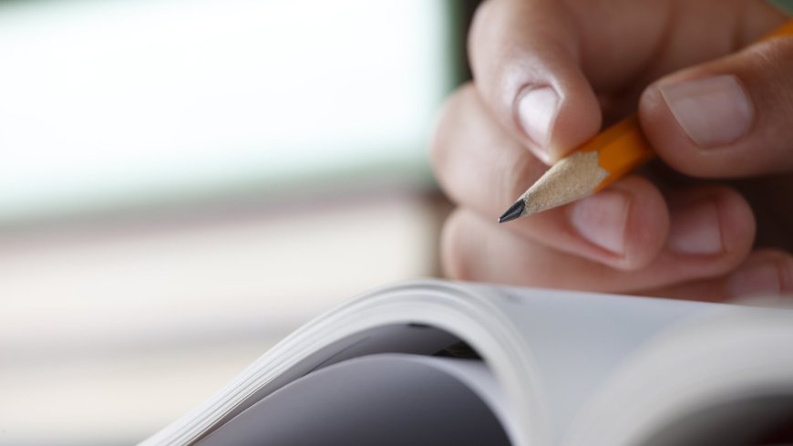 Ireland's student union criticizes Government for raising university fees