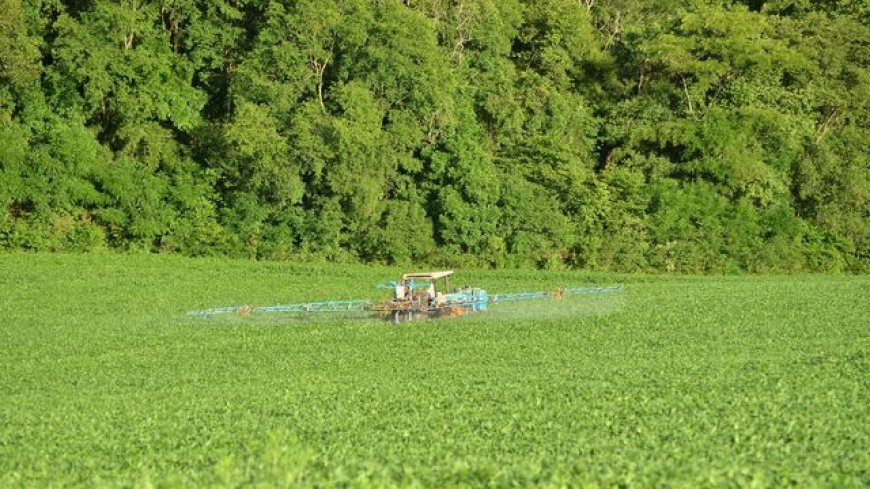 European-Banned Fungicide Threatens Australian Insects