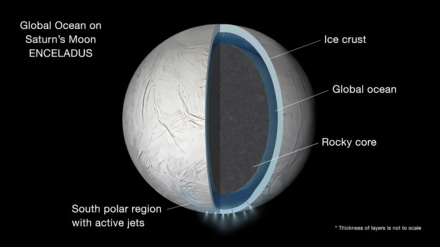 Enceladus's Subsurface Ocean pH May Impact Search for Life