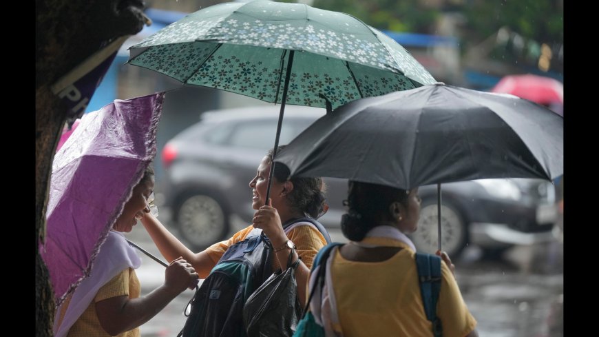 IMD Forecasts Above-Normal Rainfall in July, Flood Alert for East Central India