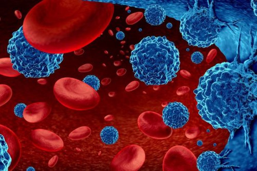 Breakthrough UM171 Treatment for Blood Cancers Nears Approval in Europe