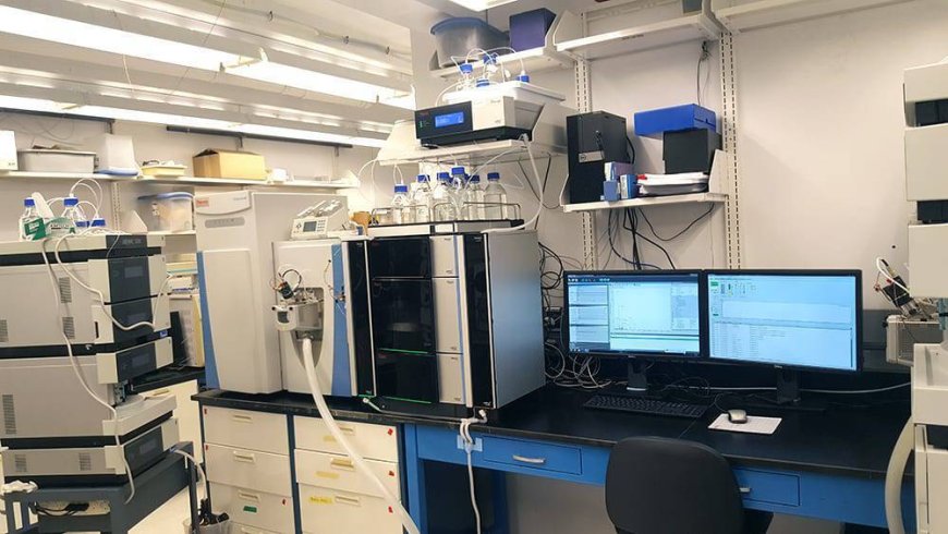 Maynooth University Researchers Make Breakthrough in Studying Mycetoma Disease