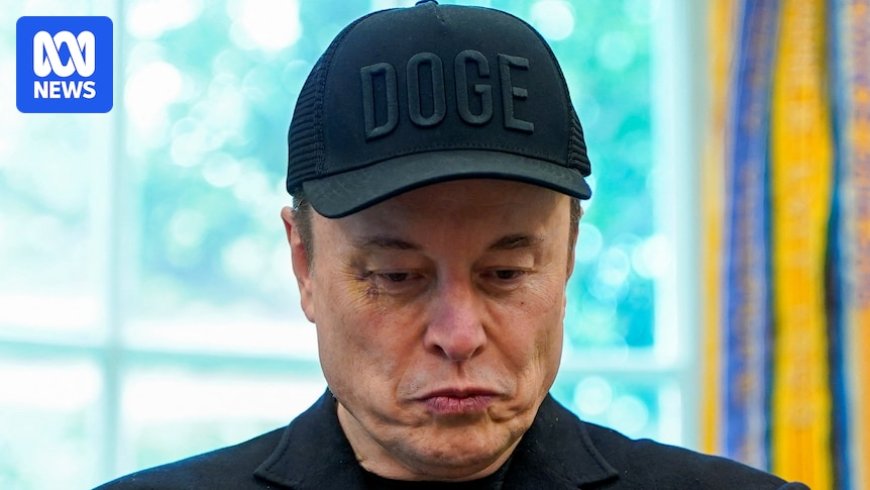 Trump Urges DOGE to Examine Musk Subsidies for Potential Savings