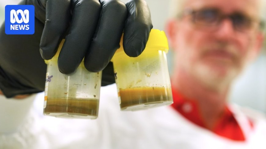 Melioidosis Case Detected in Queensland with Two Recent Deaths