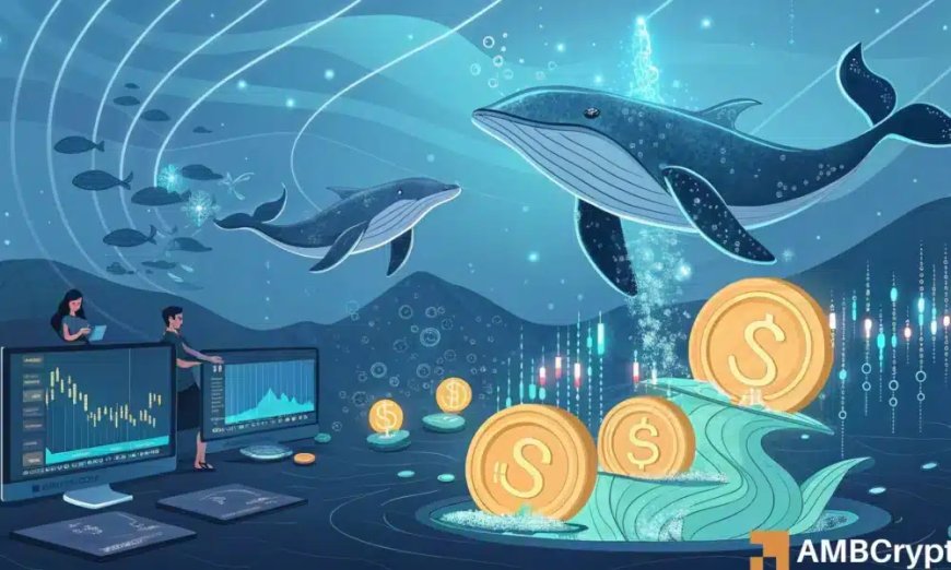 Solana Whale Sells 240k Tokens Valued at $35 Million