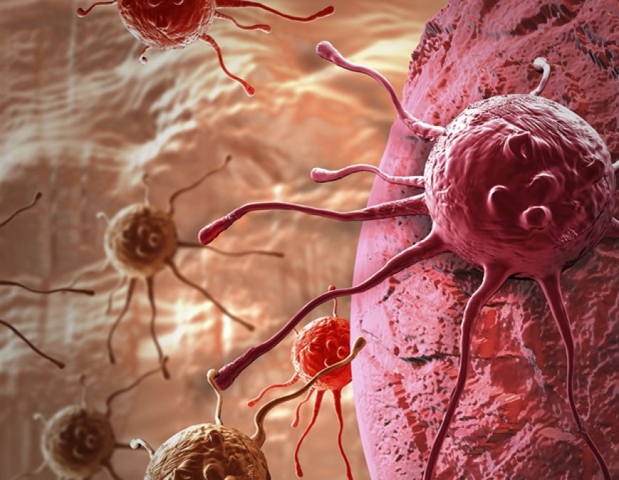Study Shows CD4 T Cells' Potential in Fighting Cancer