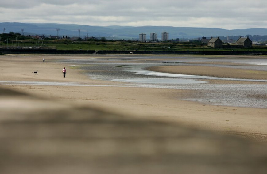 Human leg found on Scottish beach linked to body discovered in Co Down