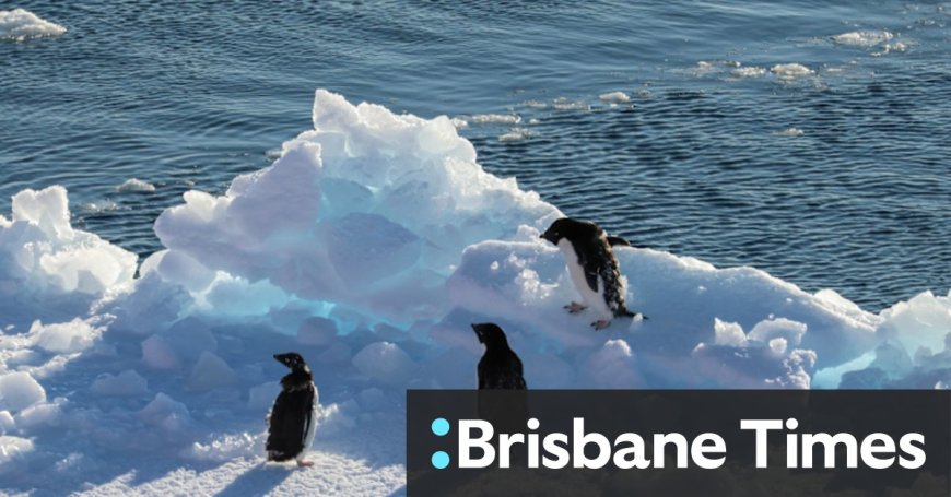 Trump Administration Cuts Satellite Data for Antarctic Sea Ice Research