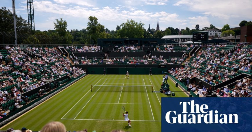 Wimbledon Umpire Responds to Player's Concern About 'Dangerous' Spectator