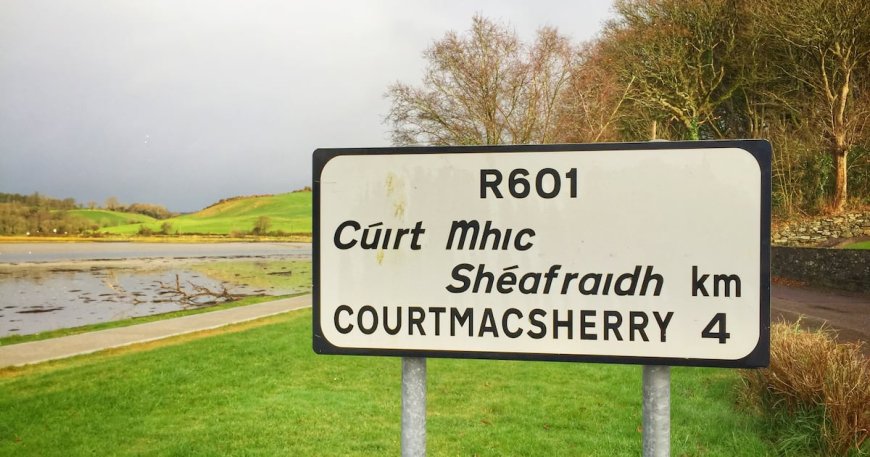 Four Men Arrested in Cork Cocaine Seizure Worth €35m