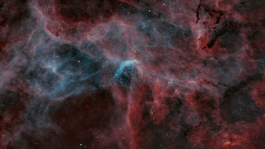 Exploring Wolf-Rayet Stars: WR 134 in Cygnus Constellation