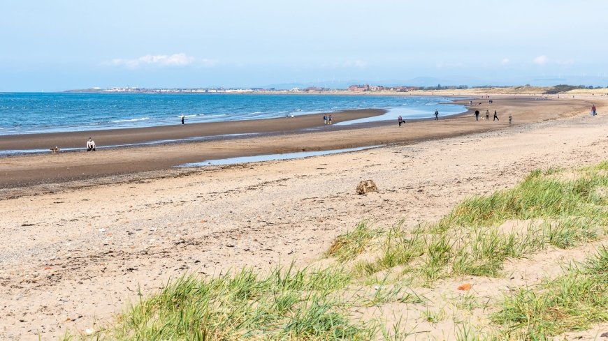 Connection between remains found in Scotland and body discovered in Northern Ireland confirmed