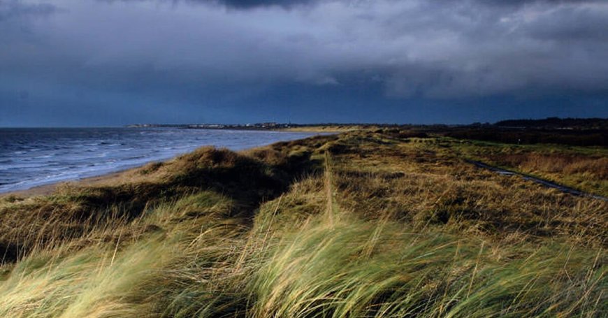 Remains Found on Scottish Beach Linked to Body Discovered in Co Down