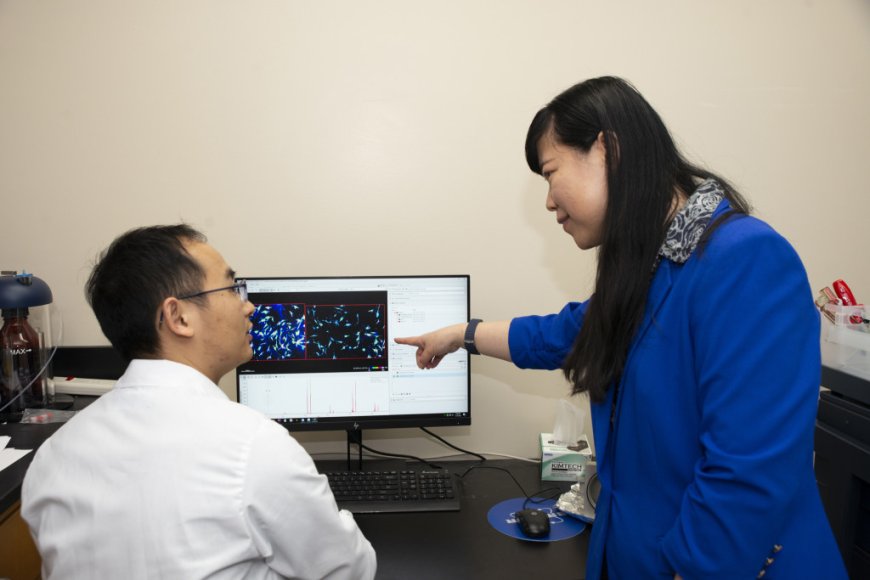 UW-Madison Scientists Develop Breakthrough Imaging Technology