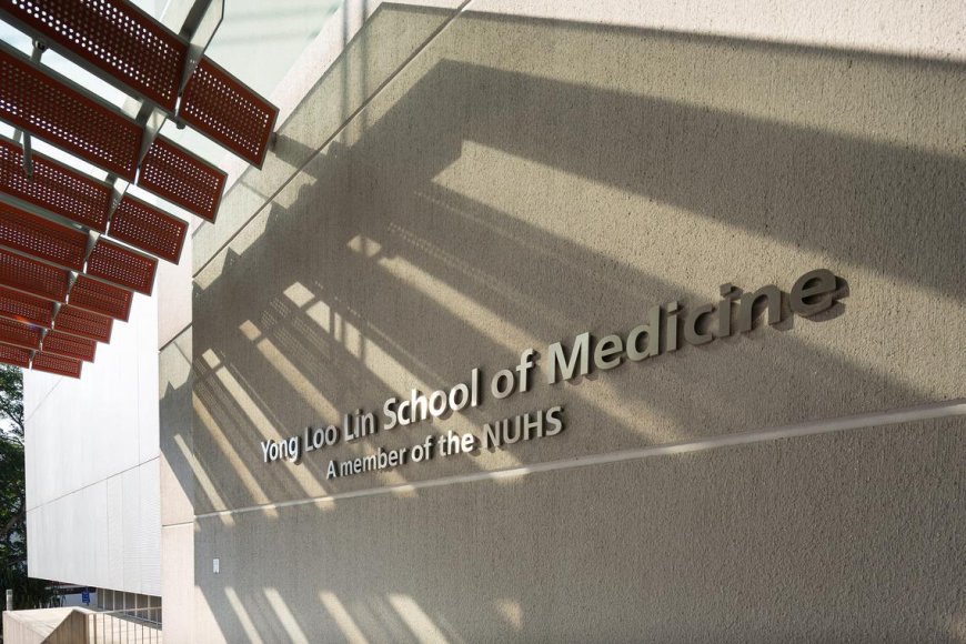 NUS Medicine's Focus on Research for Better Patient Care and Global Recognition