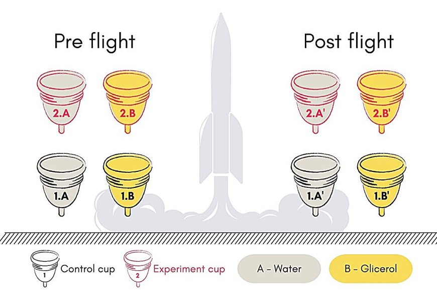 Menstrual Cups Tested in Space for the First Time: A Breakthrough for Female Astronauts
