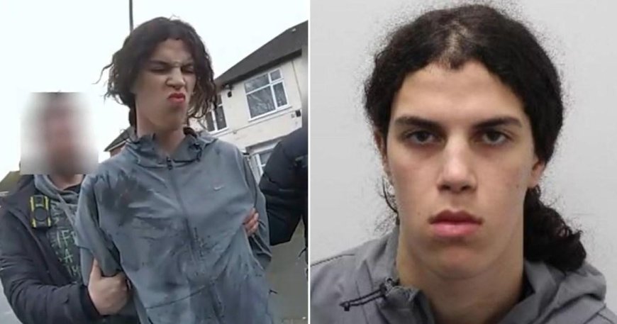 Bridgerton Star 'Relieved' as Thief Who Targeted Her Gets 22-Month Jail Term