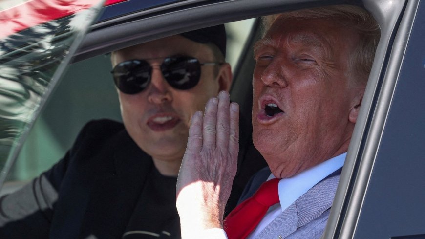 Elon Musk praises Trump for global conflict resolutions