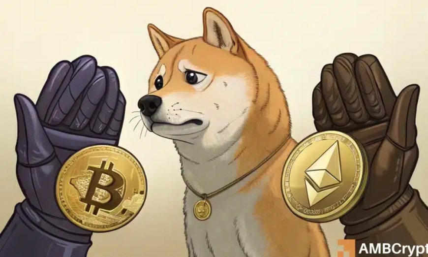 Traders Exiting Dogecoin as Bitcoin and Ethereum Remain Strong