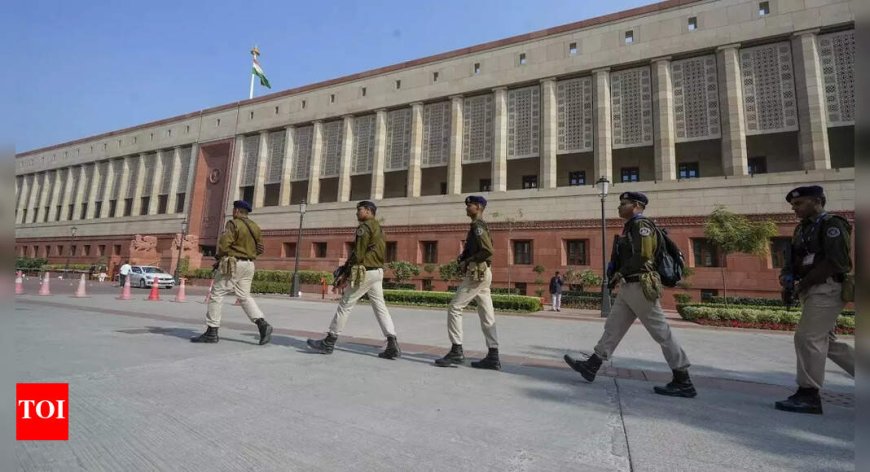 Delhi High Court Grants Bail to Accused in Parliament Security Breach Case