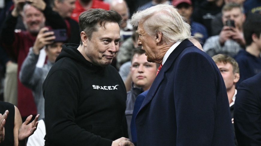 Why is Donald Trump considering deporting Tesla CEO Elon Musk? Here's the feud explained