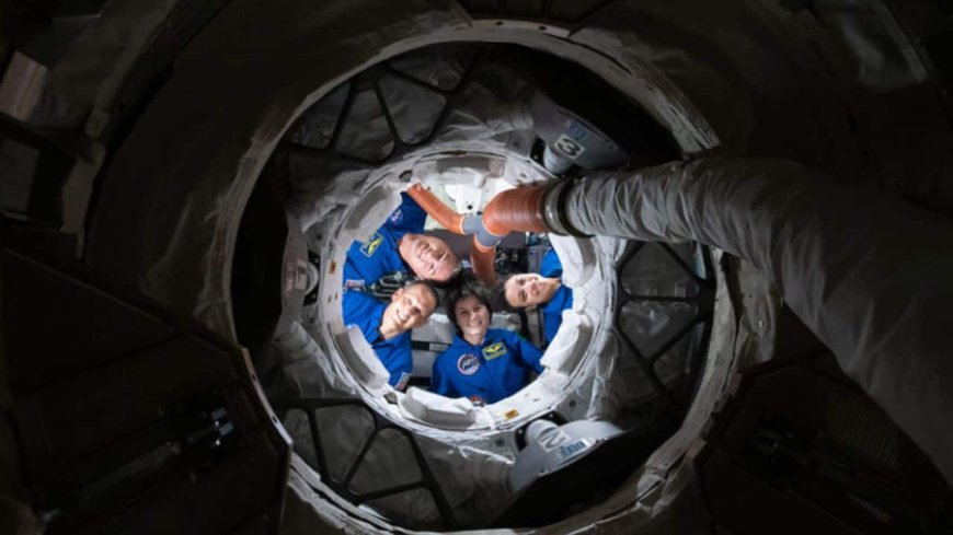 Understanding How Space Affects the Human Body: Insights from NASA