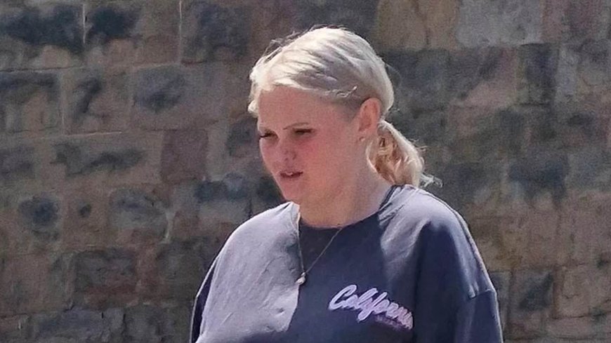 XL Bully Owner Escapes Jail After Dog Bites Girl's Face