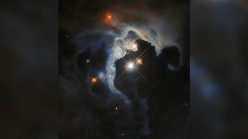 Hubble Telescope Spots Stellar Nursery in Taurus Molecular Cloud - Photo of the Day, July 2, 2025