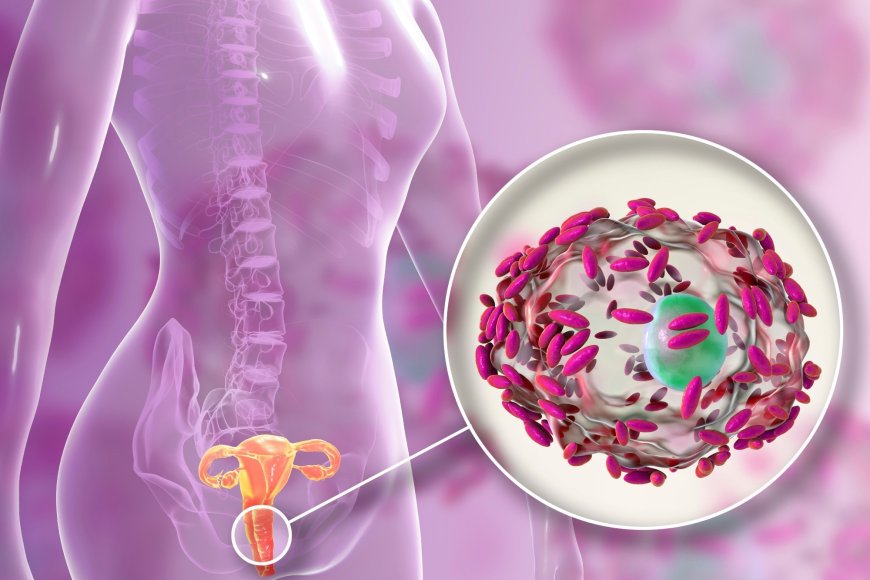 Understanding How Vaginal Microbiome Impacts BV Infections