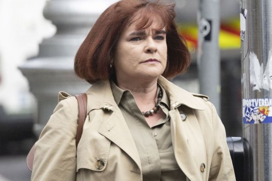 Children’s Health Ireland CEO Apologizes for Failures at PAC Meeting