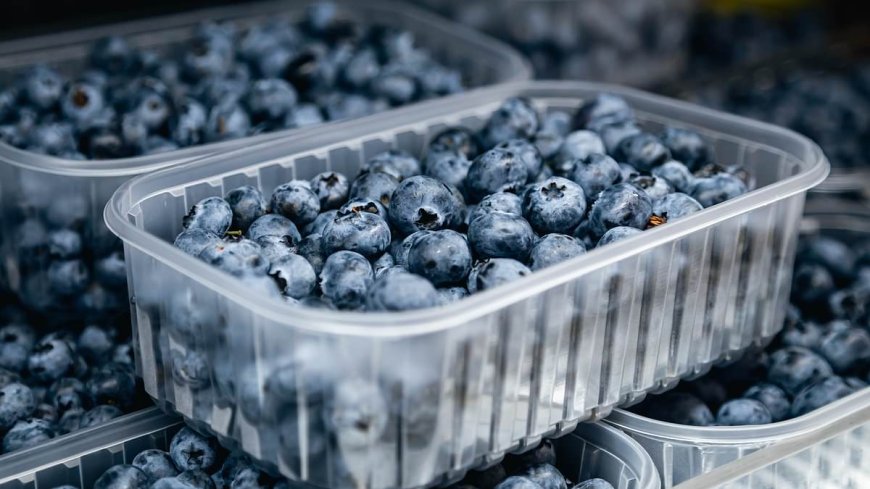 FDA Recalls Blueberries Due to Listeria Contamination Risk