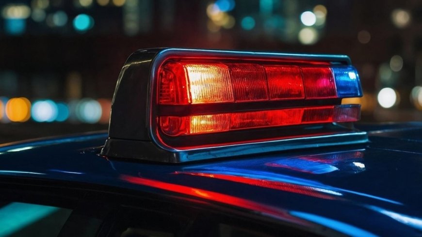 Downtown Chicago Mass Shooting: 9 Injured with Heavy Police Presence Captured in Videos
