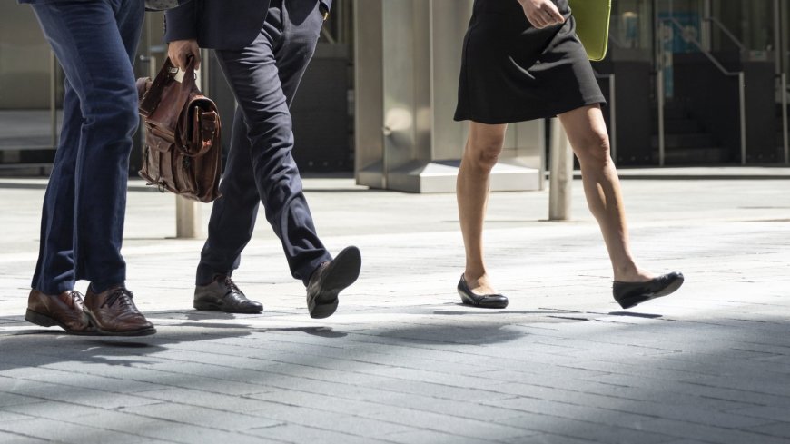CEA Disqualified 22 Company Directors in 2024