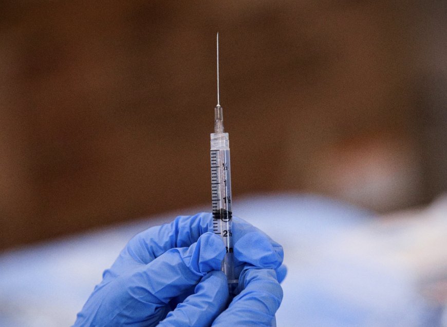 Takeda Healthcare Withdraws Dengue Vaccine Applications in US and Singapore Due to Data Collection Requests