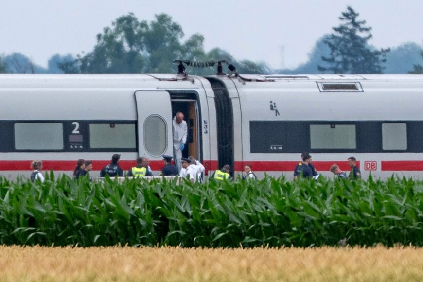Man Injures Four in Axe Attack on German Train, Police Report