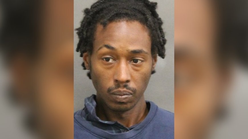 Man arrested for sexual assault in High Park