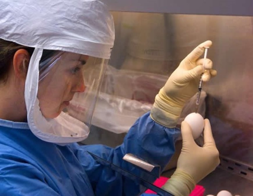 Study Shows Increase in Digestive Disorders During COVID-19 Pandemic