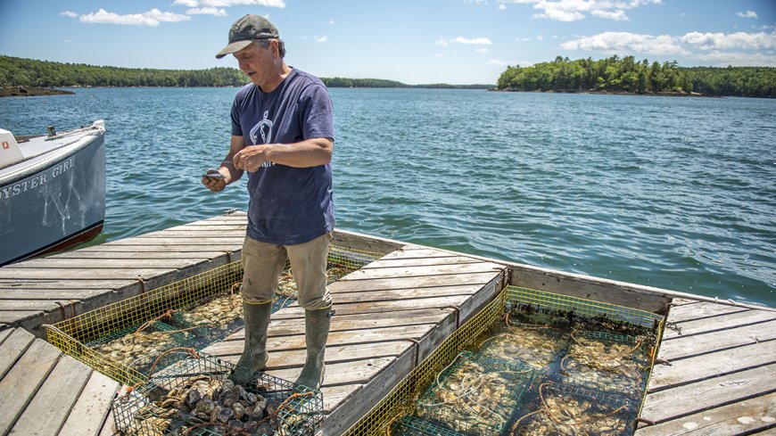 Gulf of Maine's Cold Waters Delay Ocean Acidification