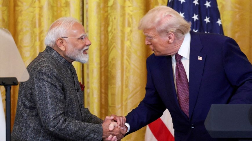 India Considers Allowing GM Animal-Feed Imports from US in Trade Deal